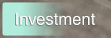 Investment Investment