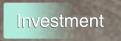 Investment Investment